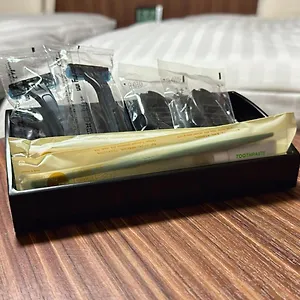 묘진-노-유 도미 인 프리미엄 칸다 3* 도쿄